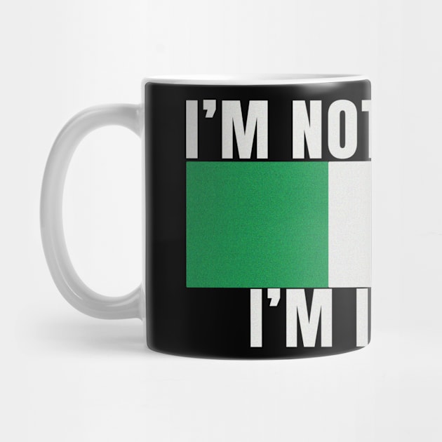 Im Not Yelling Im Italian Italy Flag Colors Funny Graphic Novelty by Sassee Designs